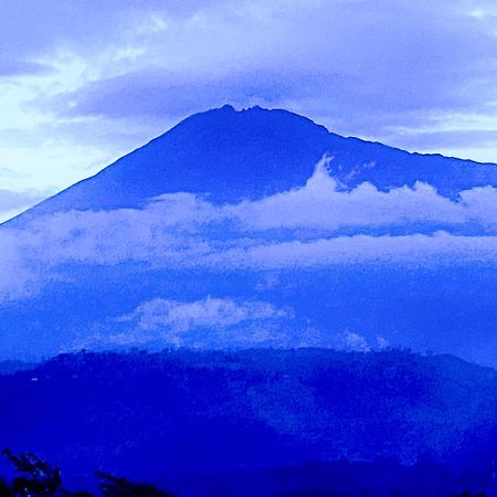Arusha Mountain Viewsアパートメント エクステリア 写真