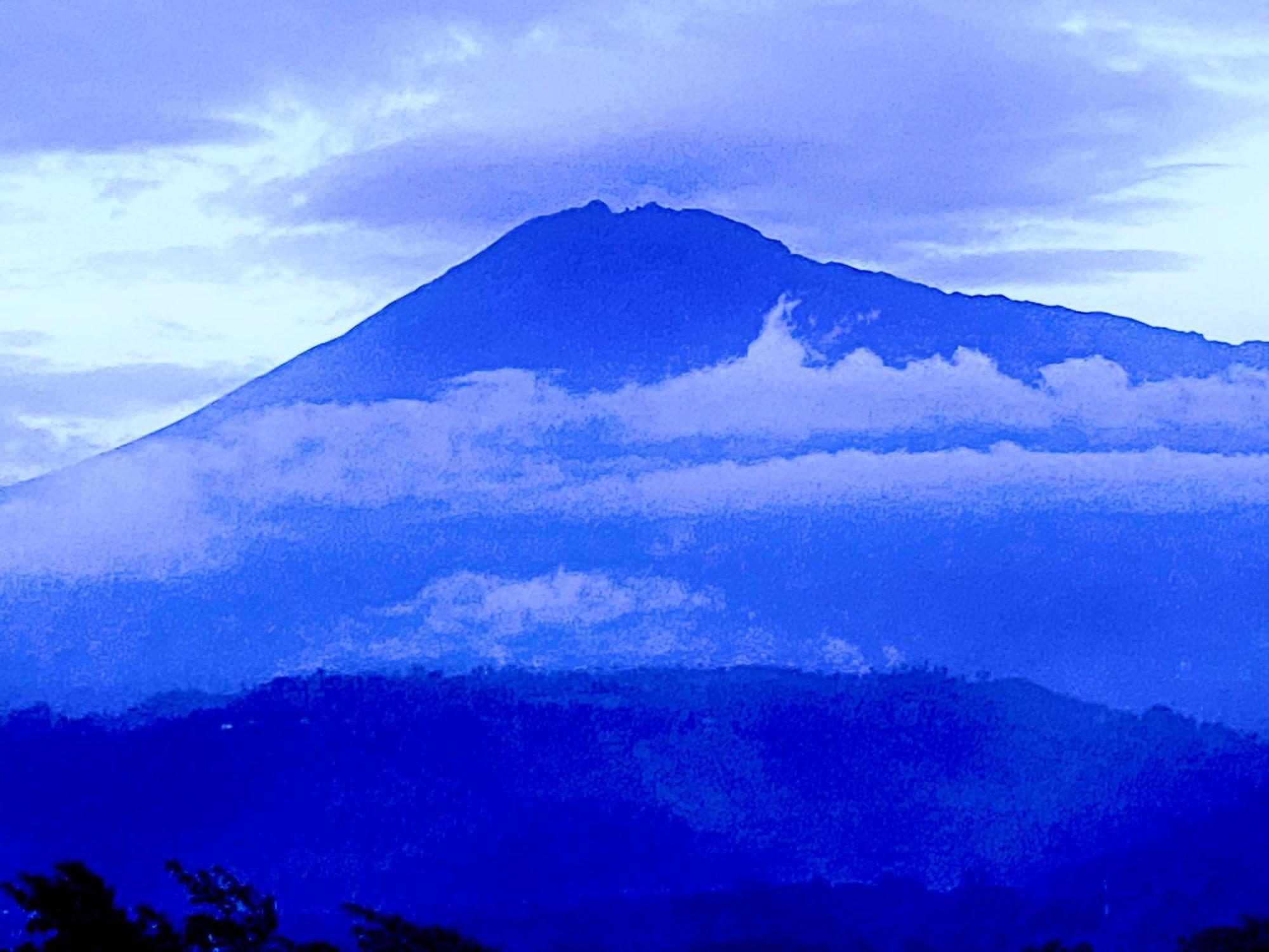 Arusha Mountain Viewsアパートメント エクステリア 写真
